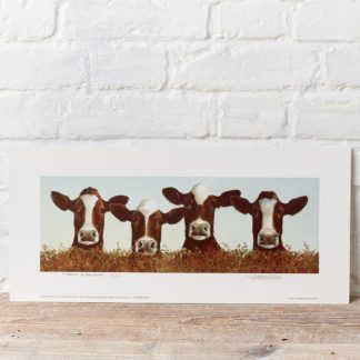 Four Cows Greeting Card