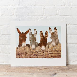 Donkeys Painting