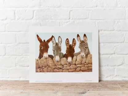 Donkeys Painting