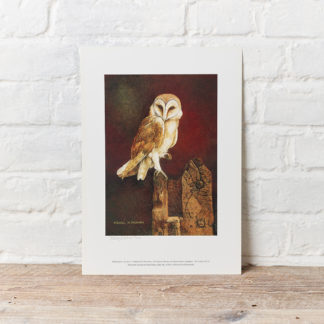 Barn Owl Painting