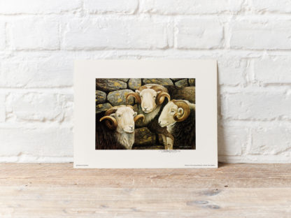 Sheep Print by Oxenham Art Gallery