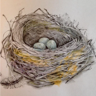 Bird's Nest Painting by Margaret Taylor