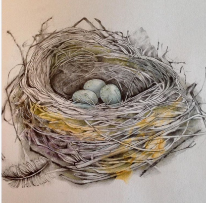 Bird's Nest Painting by Margaret Taylor