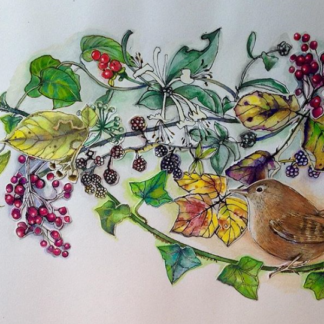 Bramble Wren Painting by Margaret Taylor