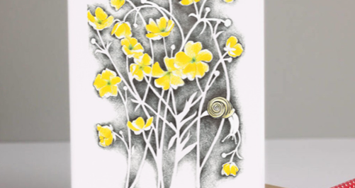 Buttercups Greeting Card by Margaret Taylor