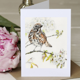 Thrush Greeting Card by Margaret Taylor