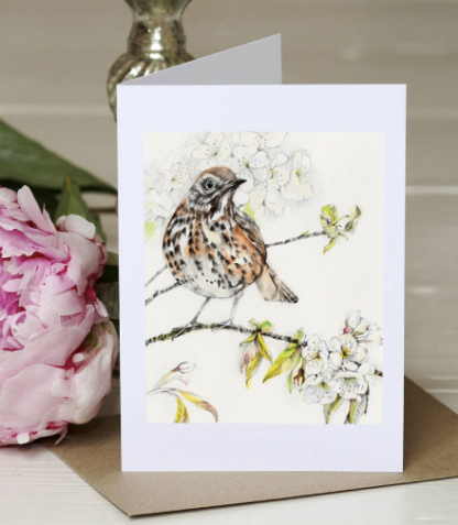 Thrush Greeting Card by Margaret Taylor