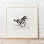 'Gallop' by Matt Clarke